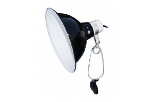 Black dome clamp lamp KOMODO