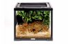 terrarium en verre
